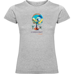 ¡Un día perfecto!... casi – varios modelos de camiseta mujer